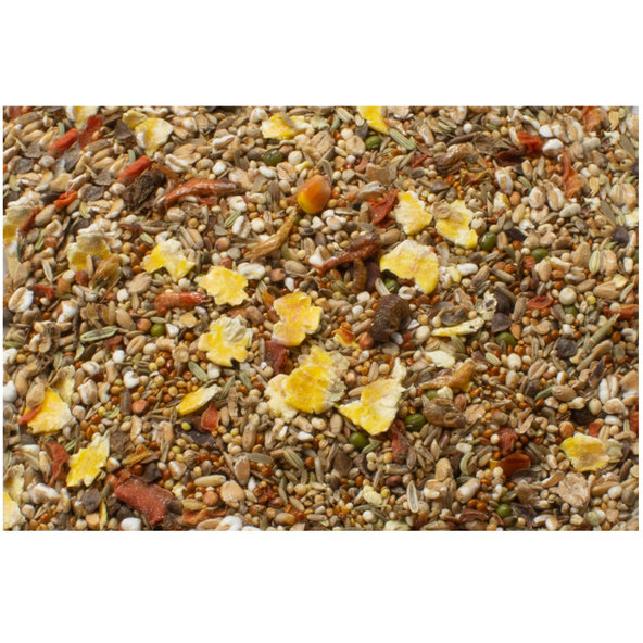 JR FARM kompletné krmivo pre myši 600g