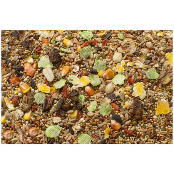 JR FARM kompletné krmivo pre pieskomily 600g