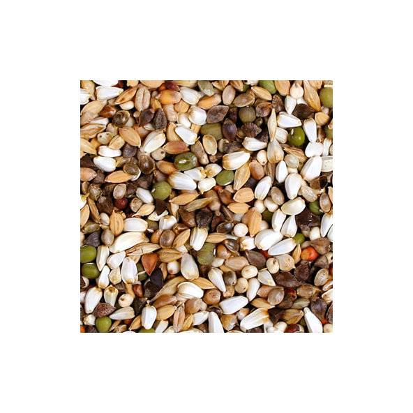 JR FARM nakličovacia zmes semien pre papagáje 1 kg