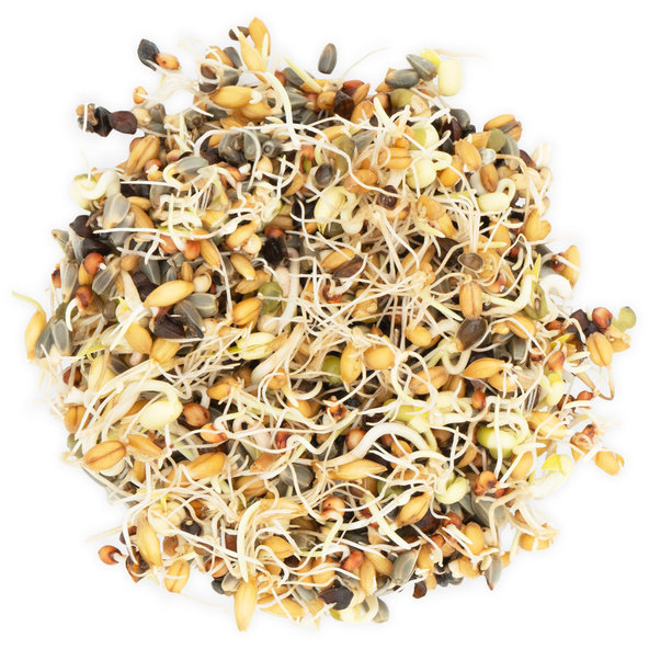 JR FARM nakličovacia zmes semien pre papagáje 1 kg