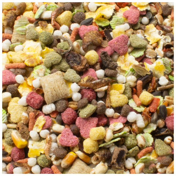 JR FARM základné krmivo pre potkany 600g