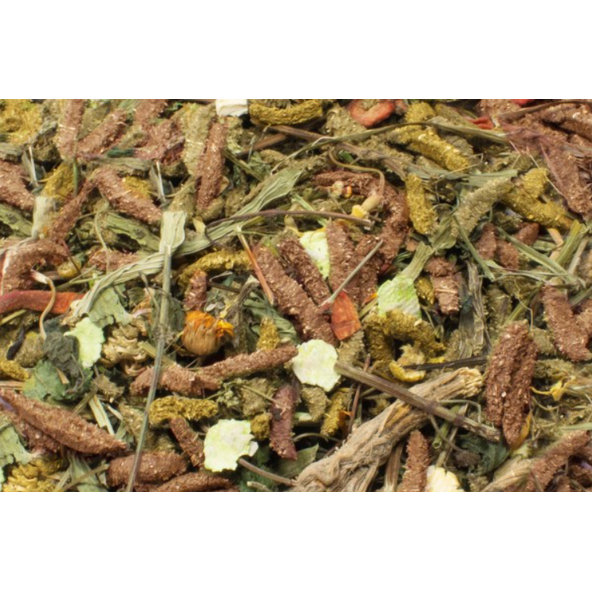 JR FARM Grainless HEALT MIX kompletné krmivo pre morčatá 600g