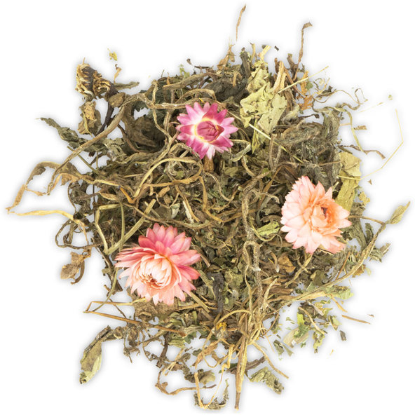 JR FARM Grainless Snack šalvia a púpava pre králiky a hlodavce 100g