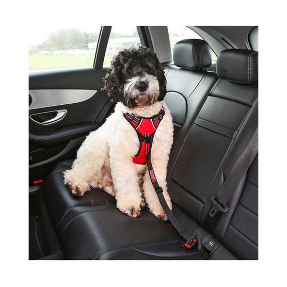 KONG bezpečnostný pás do auta pre psov