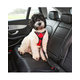 KONG bezpečnostný pás do auta pre psov