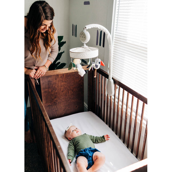 TINY LOVE Kolotoč hudobný Boho Chic, 0m+