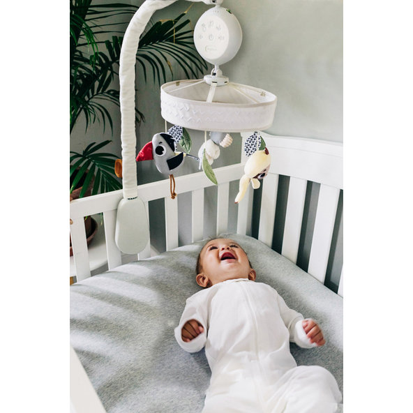 TINY LOVE Kolotoč hudobný Boho Chic, 0m+