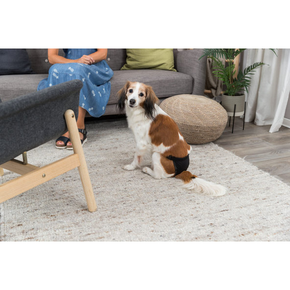 TRIXIE Protective pants háracie nohavičky pre sučky L:50-59cm, čierne