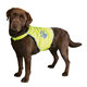 TRIXIE Safety vest bezpečnostná vesta pre psov L: 42cm