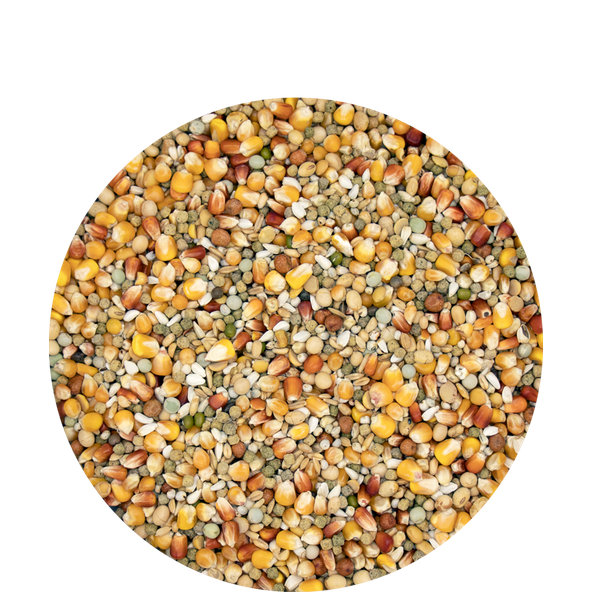 Versele Laga Holuby Superstar Plus športová zmes s peletami Plus pre holuby 20kg