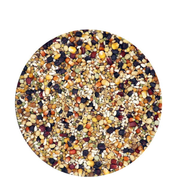 Versele Laga Superstar Plus - športová zmes s čiernou kukuricou pre holuby 20kg