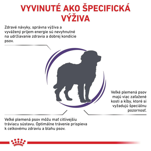 ROYAL CANIN ADULT LARGE DOG kompletné granule pre dospelých psov veľkých plemien 13 kg