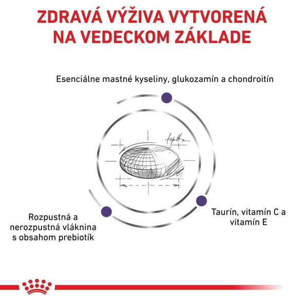 ROYAL CANIN ADULT LARGE DOG kompletné granule pre dospelých psov veľkých plemien 13 kg