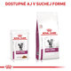 ROYAL CANIN CAT EARLY RENAL IN GRAVY kapsičky na podporu funkcie obličiek 12 x 85 g