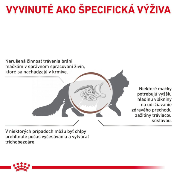 ROYAL CANIN Cat Gastrointestinal Hairball Dry granule pre mačky trpiace tvorbou trichobezoárov 4 kg