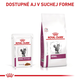 ROYAL CANIN CAT RENAL BEEF GRAVY kapsičky v šťave pre mačky s ochorením obličiek 12x85 g