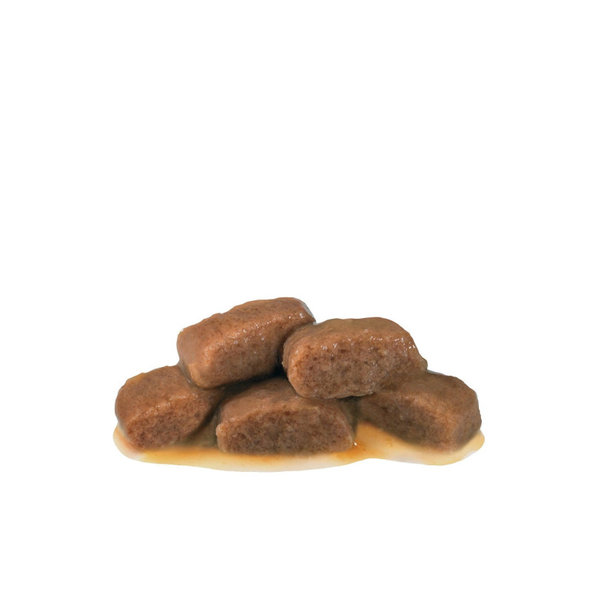ROYAL CANIN CAT RENAL BEEF GRAVY kapsičky v šťave pre mačky s ochorením obličiek 12x85 g