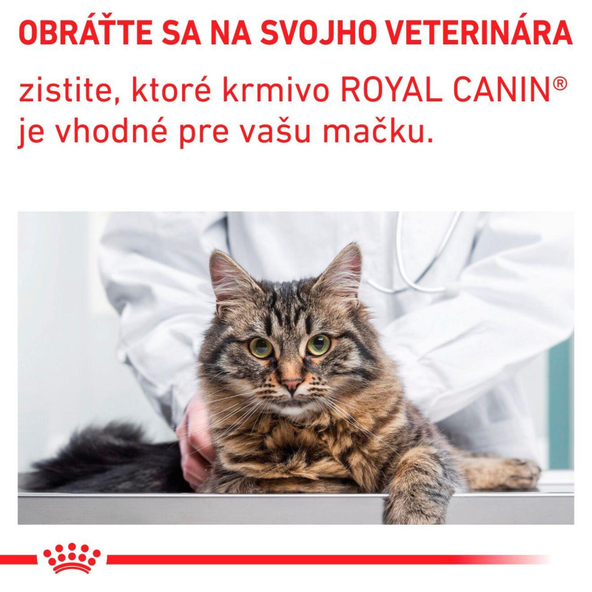 ROYAL CANIN DENTAL CAT granule pre mačky s problémami so zubami a ďasnami 3 kg