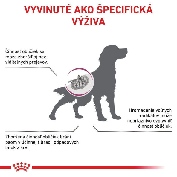 ROYAL CANIN DOG EARLY RENAL granule na podporu funkcie obličiek pre psov 7 kg