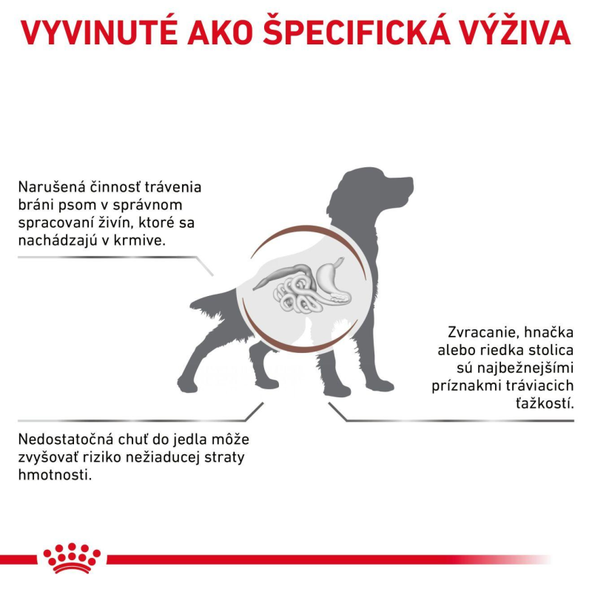 ROYAL CANIN DOG GASTROINTESTINAL granule pre psov s gastrointestinálnym ochorením 2 kg