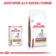 ROYAL CANIN DOG GASTROINTESTINAL HIGH FIBRE WET paštéta v konzerve so zvýšeným obsahom vlákniny pre dospelých psov 410 g