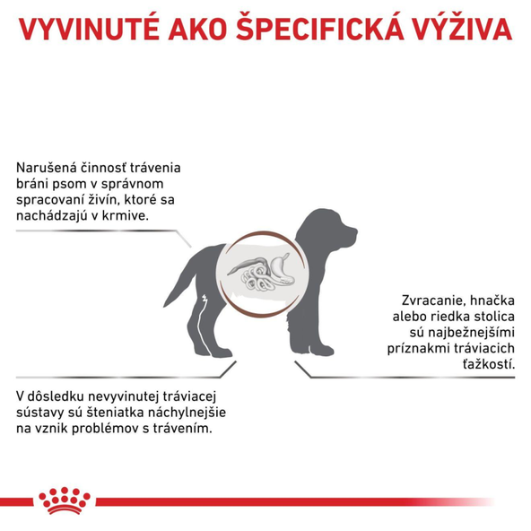 ROYAL CANIN DOG GASTROINTESTINAL PUPPY granule pre šteňatá s ochorením tráviaceho traktu 10 kg