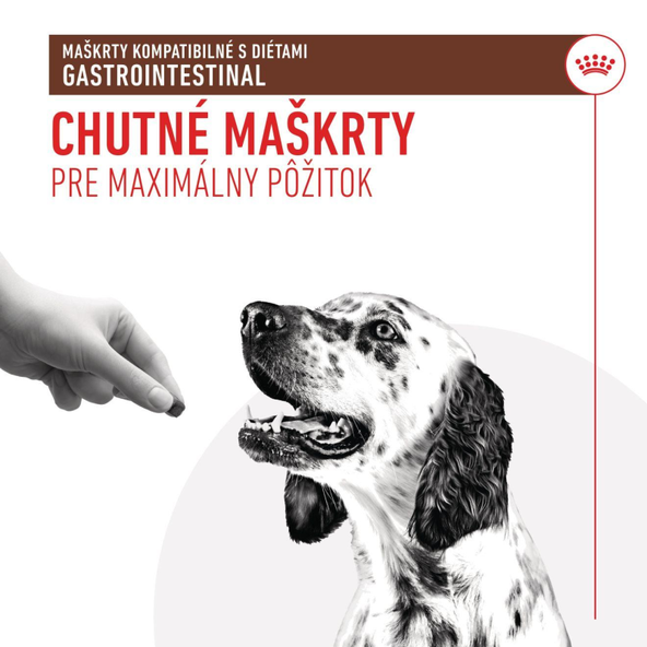 ROYAL CANIN DOG GASTROINTESTINAL TREATS maškrty pre psov s gastrointestinálnou diétou 230 g