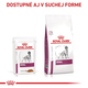 ROYAL CANIN DOG RENAL IN GRAVY kapsičky v šťave pre psov na podporu funkcie obličiek 12x100 g