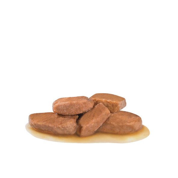 ROYAL CANIN DOG URINARY S/O MODERATE CALORIE WET kapsičky pre psov na rozpúšťanie struvitových kameňov 12x100 g