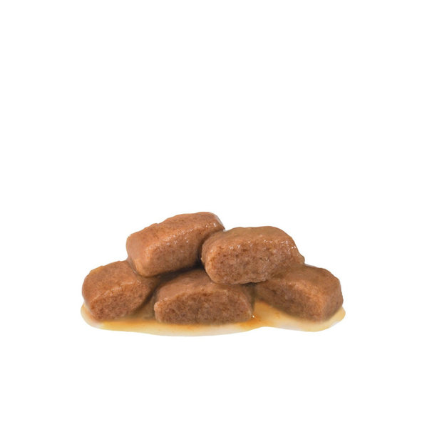ROYAL CANIN GASTROINTESTINAL CAT WET kapsička pre mačky trpiace ochorením tráviaceho traktu 85 g