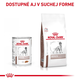 ROYAL CANIN HEPATIC DOG LOAF CAN paštéta na podporu funkcie pečene 420 g