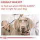 ROYAL CANIN MATURE CONSULT granule na podporu zdravia starnúcich psov malých plemien 8 kg
