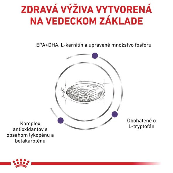 ROYAL CANIN MATURE CONSULT LARGE DOG granule pre starnúce veľké psy 14 kg