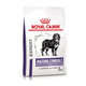 ROYAL CANIN MATURE CONSULT LARGE DOG granule pre starnúce veľké psy 14 kg