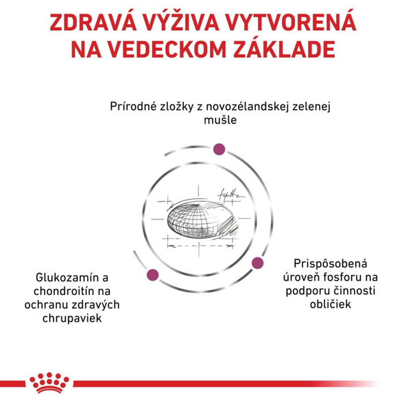 ROYAL CANIN MOBILITY CAT granule pre mačky na podporu zdravia kĺbov 2 kg