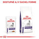 ROYAL CANIN NEUTERED DOG GRAVY kapsičky pre dospelých kastrovaných psov 12 x 100 g