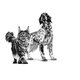 ROYAL CANIN RECOVERY CAN diéta na podporu rekonvalescencie 195 g
