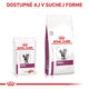 ROYAL CANIN RENAL CAT WET kapsičky pre dospelé mačky na podporu funkcie obličiek 12x85 g