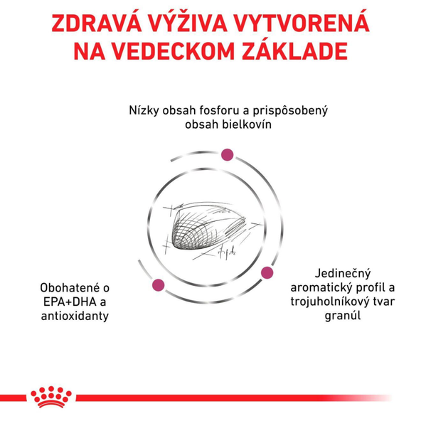 ROYAL CANIN RENAL SPECIAL CAT DRY granule pre dospelé mačky na podporu funkcie obličiek 4 kg