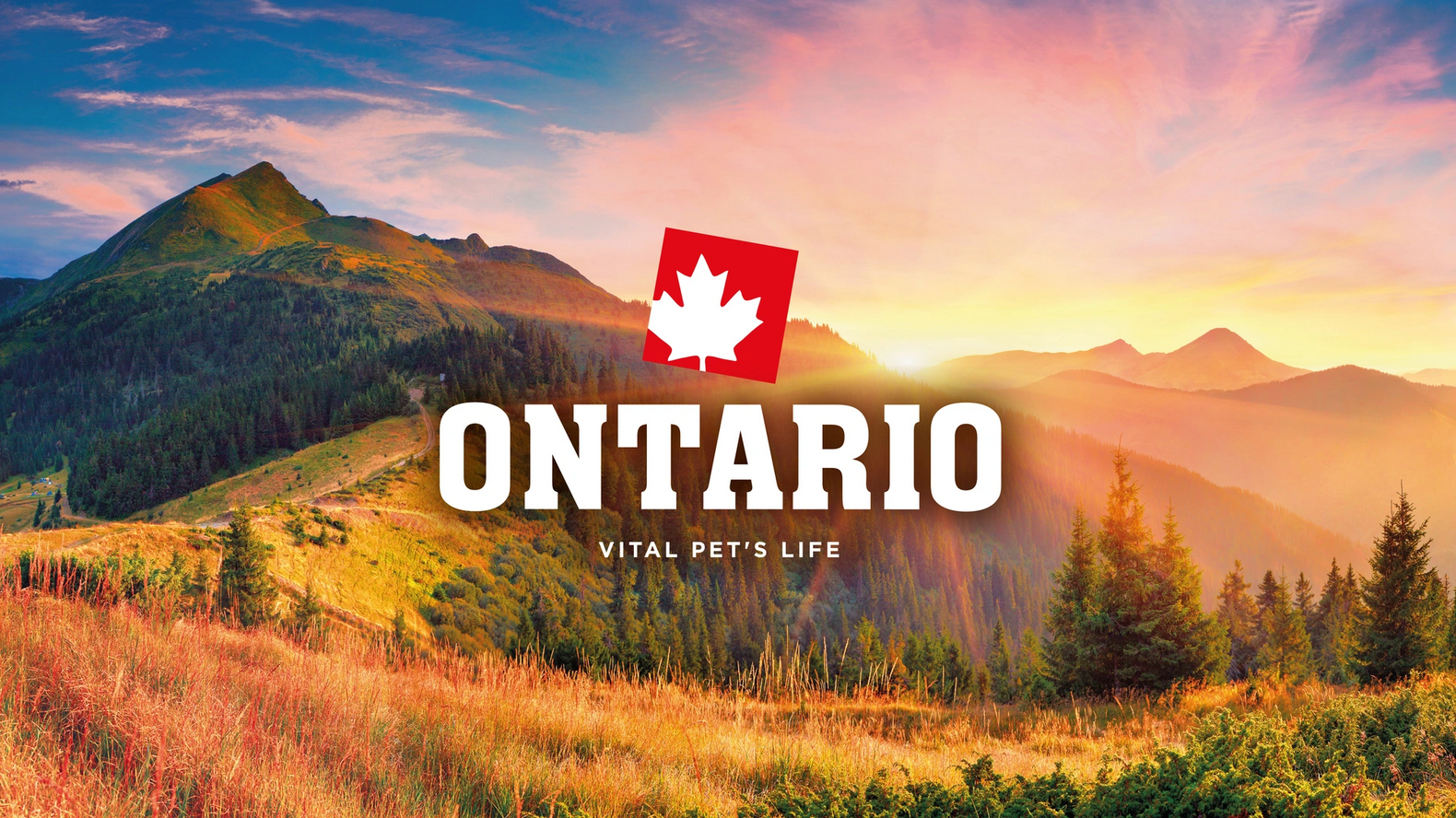 Ontario – kvalitné krmivá pre psov a mačky s dôrazom na zdravie a chuť | www.najlekaren.eu