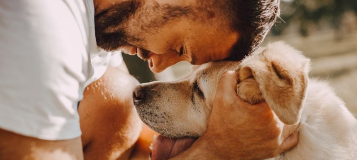 Frontpro: Účinná ochrana pred parazitmi u vašich psov | www.najlekaren.eu