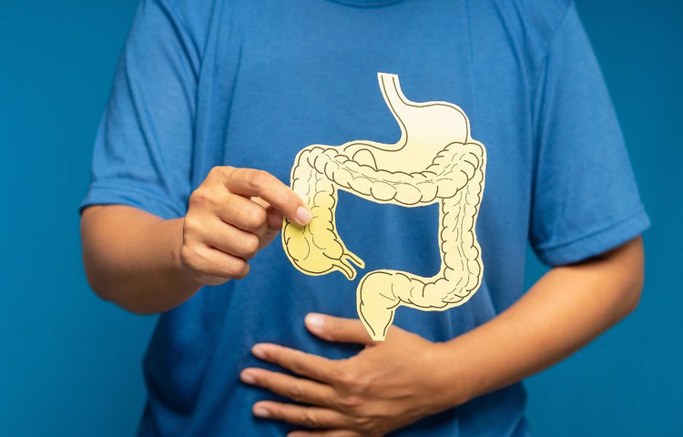 Postava drží model hrubého čreva v oblasti brucha, čo vysvetľuje príčiny chronickej zápchy a poukazuje na význam správnej funkcie čriev pri liečbe zápchy.