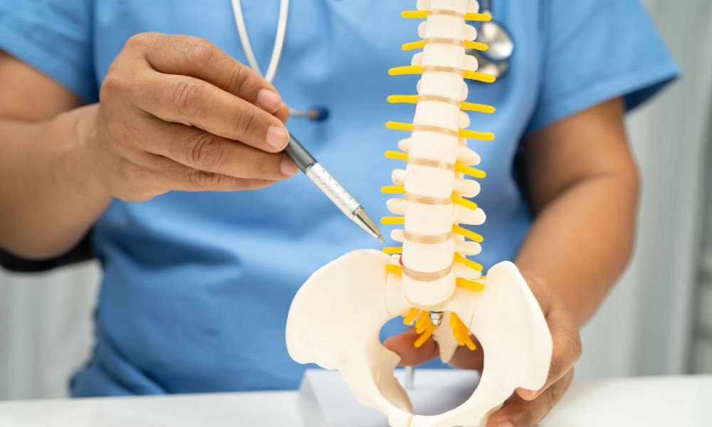  Lekár v modrom plášti so stetoskopom drží anatomický model chrbtice a ukazuje perom na driekovú oblasť, kde ischias nerv spôsobuje zápal sedacieho nervu.