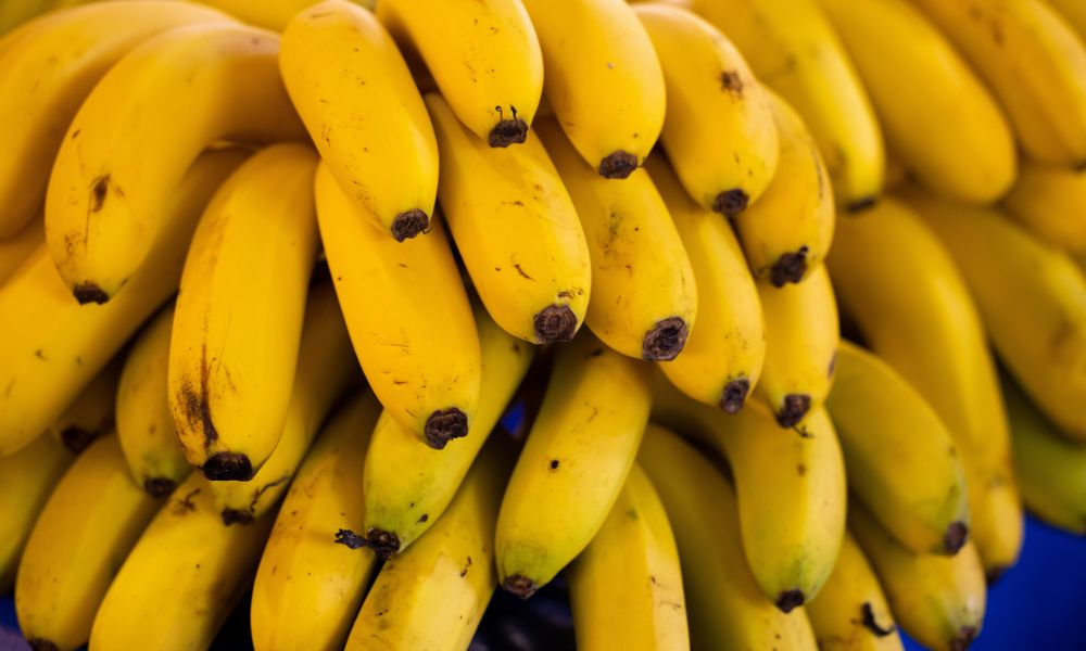  Veľký zväzok zrelých žltých banánov, ktoré sú jedným z najznámejších prírodných zdrojov draslíka a kalia, vhodnou alternatívou k doplnkom výživy s draslíkom.