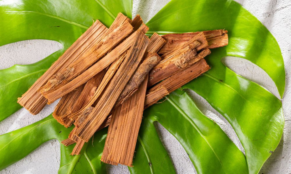  Kusy sušenej hnedej kôry vilcacory mačacieho pazúra uložené na veľkom zelenom tropickom liste na svetlom pozadí, znázorňujúce surovinu využívanú pre vilcacora účinky.
