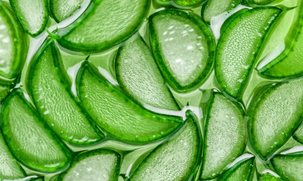  Detail šťavnatých listov aloe vera symbolizuje prírodnú hydratáciu, upokojenie pokožky a jarnú regeneráciu pleti pomocou prírodných zložiek.