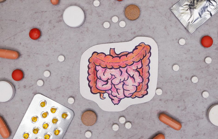 Ilustrácia čreva obklopená rôznymi tabletami, kapsulami a blistrami liekov na sivom pozadí, znázorňujúca použitie laktobacilov a probiotík na podporu zdravia tráviaceho systému.