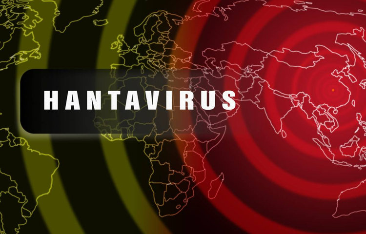 hantavirus_sirenie_prevencia_mapa