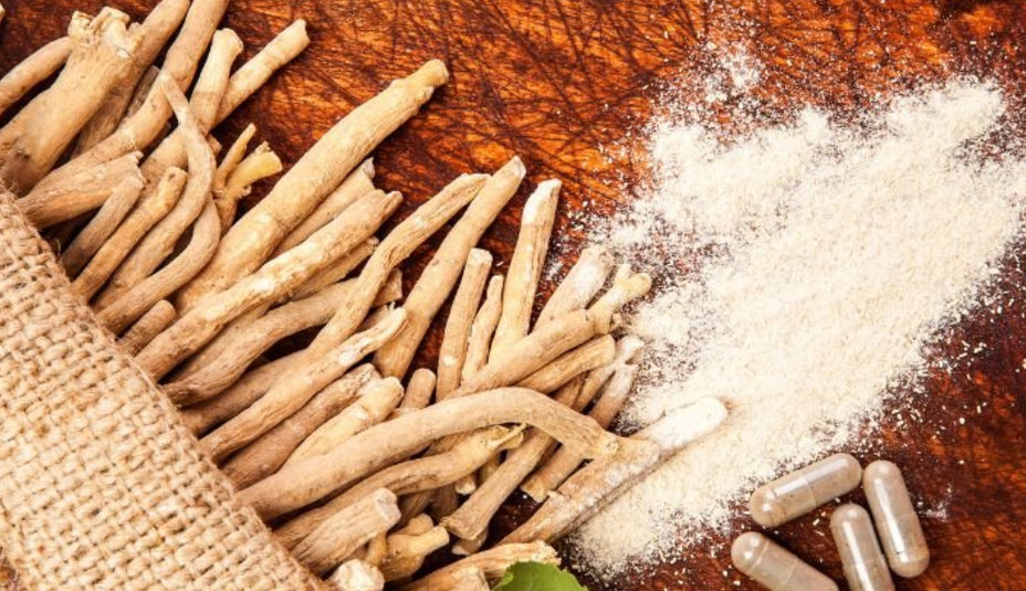 Ashwagandha – zázračná rastlina z Indie