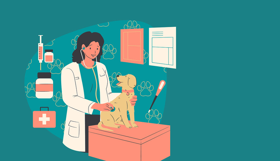 Detoxikácia psa a mačky – účinné prípravky pre zdravie vášho miláčika